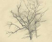 Владимир Чёрный художник. <br/>«Старый дуб»<br/>