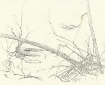 Владимир Чёрный художник. <br/>«Затонувшая лодка»<br/>