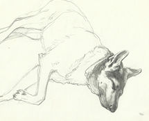 Владимир Чёрный художник. <br/>«Грей»<br/>