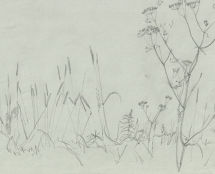Владимир Чёрный художник. <br/>«Травы»<br/>