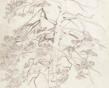 Владимир Чёрный художник. <br/>«Сосна»<br/>