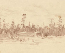 Владимир Чёрный художник. <br/>«Соловецкий лес»<br/>